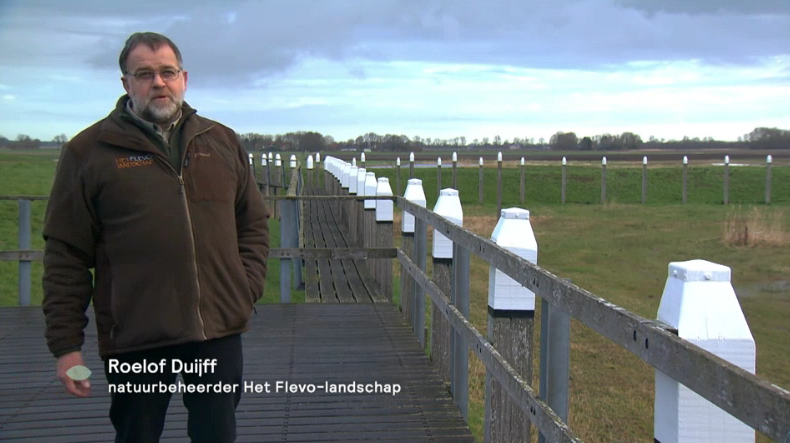 Gisteren zond het KRO-NCRV-programma BinnensteBuiten een reportage uit over werelderfgoed Schokland. Natuurbeheerder Roelof Duijff nam heel thuiszittend Nederland mee op safari over het voormalige eiland, één van de gebieden van Het Flevo-landschap. bit.ly/3bKGMaU