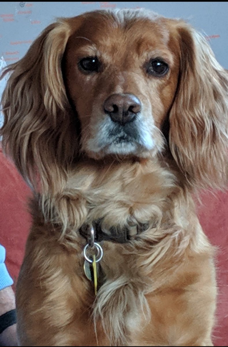queeencinta's tweet photo. @OwainWynEvans my handsome Beau Montegue Chester Williams. #NorthWestTonight https://t.co/QzBrFOiZfD