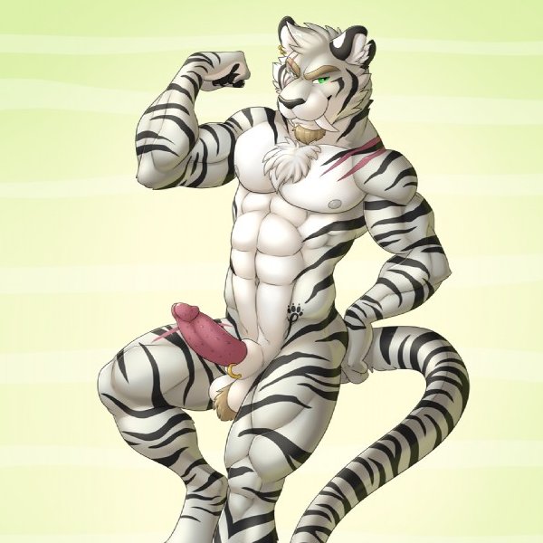 Tigey-Canadian feline🇨🇦- Dms Open (frisky) tweet media