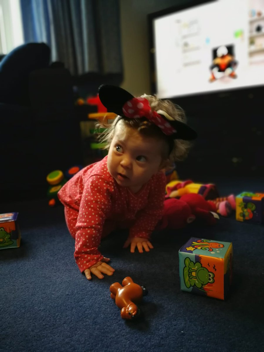 ValNixon4's tweet photo. Maeve mouse joining in too https://t.co/IkK82fFEMG