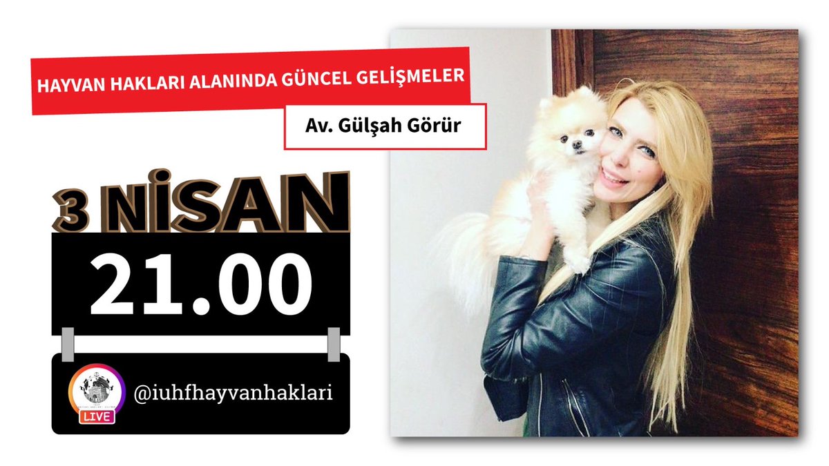 Bu akşam instagram canlı yayın konuğumuz Av. Gülşah Görür <a href="/GulsahGorur/">Av.Gülşah GÖRÜR</a> Hayvan Hakları alanında güncel gelişmeleri, bu süreçte yapılması gerekenleri, belediyelerin sorumluluklarını konuşacağız ♥️ Çayınızı kahvenizi alın gelin 🐾☕️  21.00 da ⏰