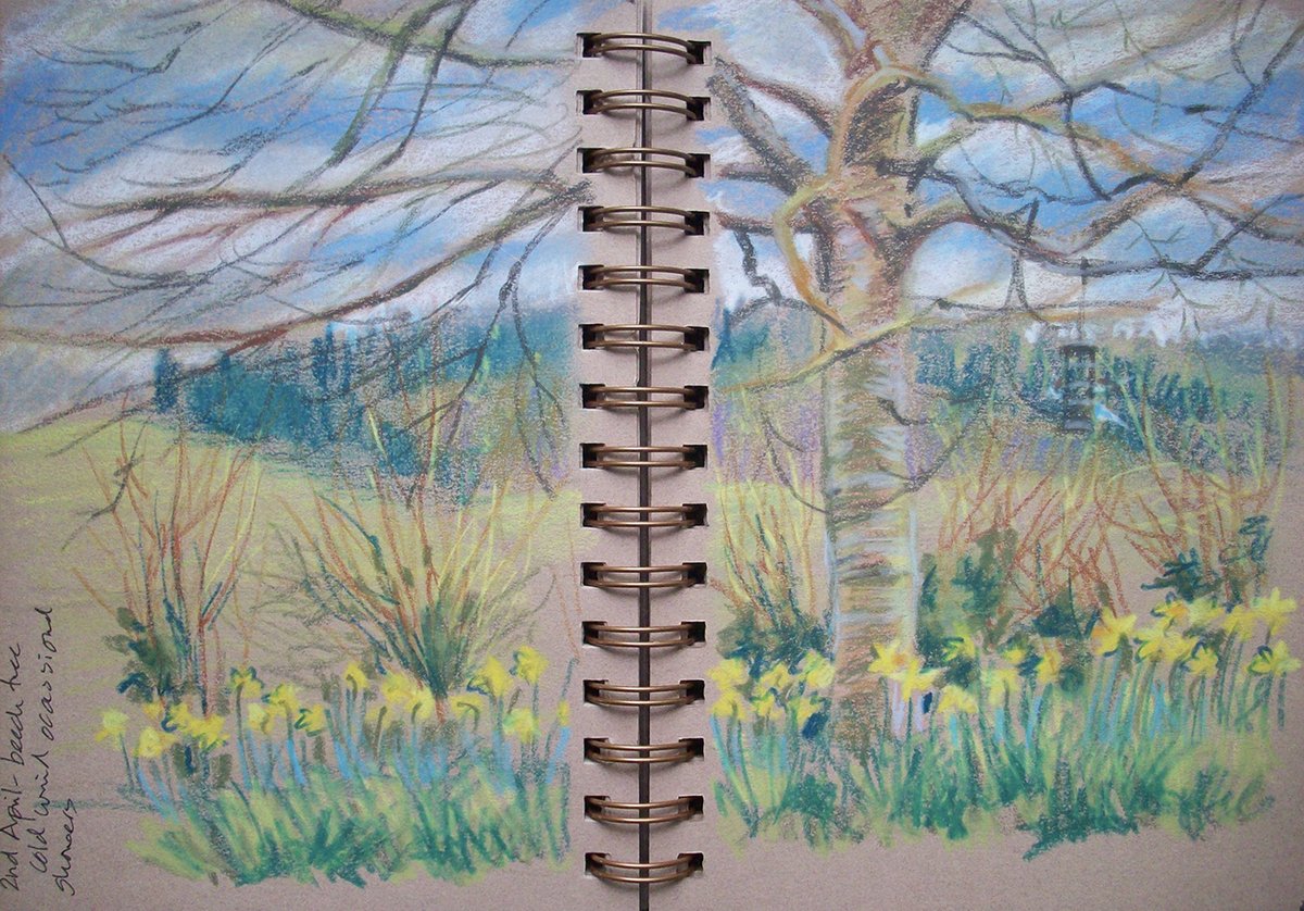 Still cold but warmer on Sunday look out for #swallows yesterdays #spring2020 #sketchday beech tree from the studio. Pleased to note I can buy individual #crayon colours when I run out of greens! <a href="/AnnaKDickerson/">Anna Dickerson</a> <a href="/SandraBoys/">sandra boys</a> <a href="/FlicFlutter/">Felicity Flutter RI SGFA</a>