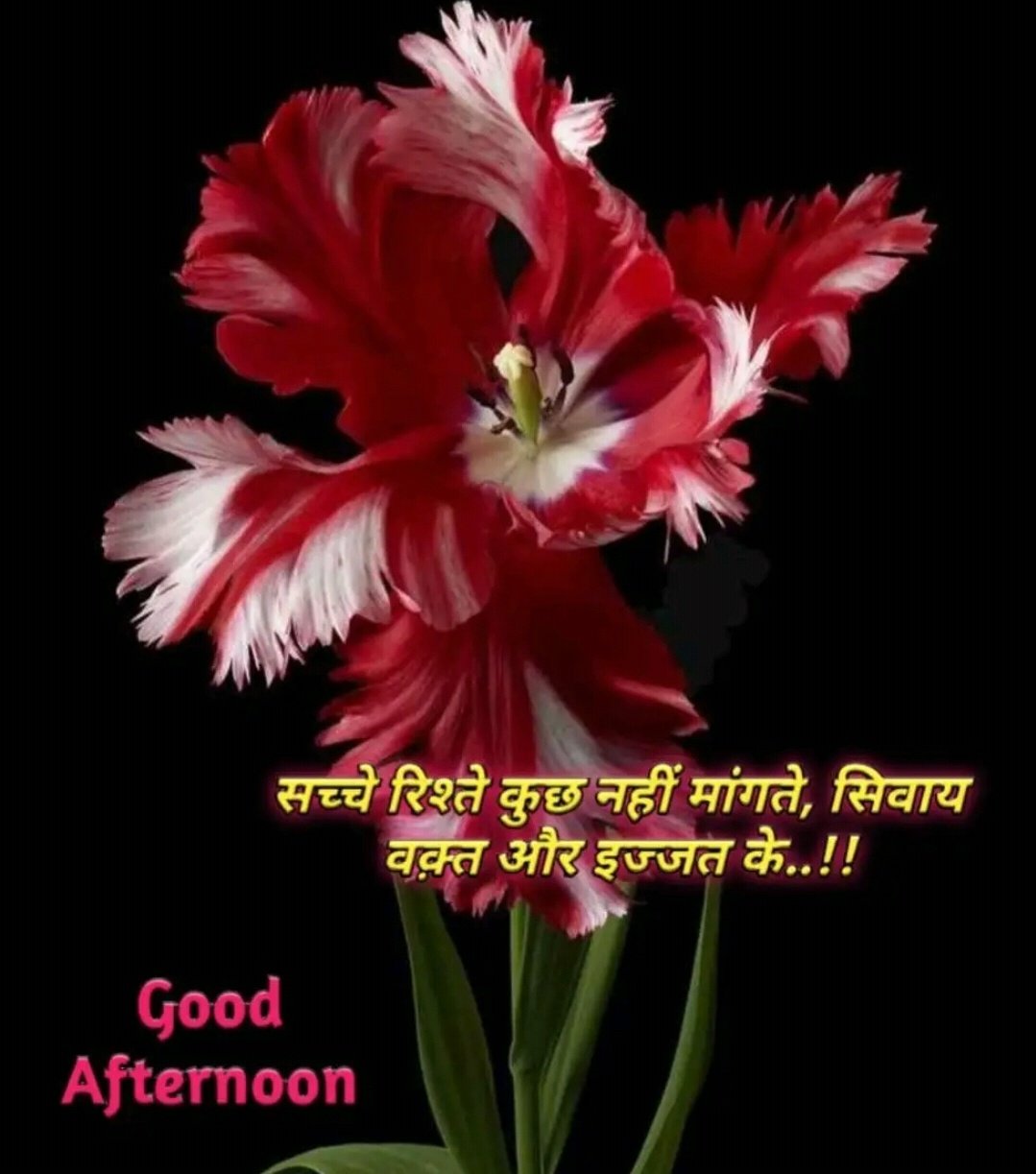 Sapna on Twitter: