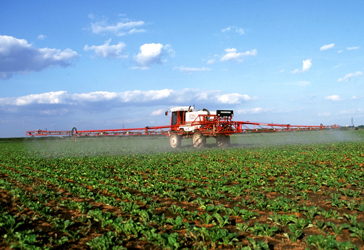 GOOD NEWS for #sugarbeet growers/agronomists: Emergency approval for Biscaya (thiacloprid) granted for applications (2 x 0.3l/ha) for English sugar beet crop from 2nd – April to 31st July. bit.ly/2wReyN4
@Hutchinsons_Ag <a href="/velcourt/">Velcourt</a> <a href="/AgriiUK/">Agrii</a> <a href="/PrimeAgWL/">PrimeAg Services</a> <a href="/FrontierAg/">Frontier Agriculture</a> <a href="/ProCamUK/">ProCam UK</a>