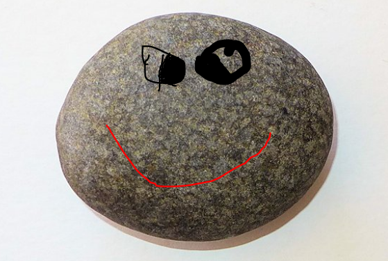 MenziesKendra's tweet photo. Pet Rock https://t.co/WoKoIynC91