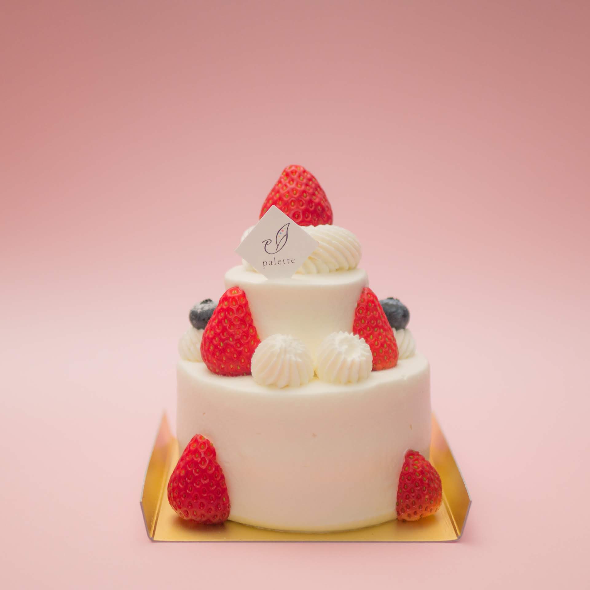 Nortz公式スイーツ部 札幌南区でケーキを楽しみたい方へ 夢を描くお菓子屋さんパレット 真駒内アイスアリーナ近くに4 3オープンのスイーツショップ 2人でのお祝いにちょうどいいサイズ感のミニホールケーキから かわいいアニマルケーキまで ギフト