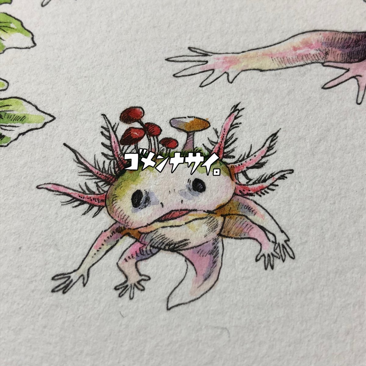 輝くオオサンショウウオ 絵画 イラスト ドローイング