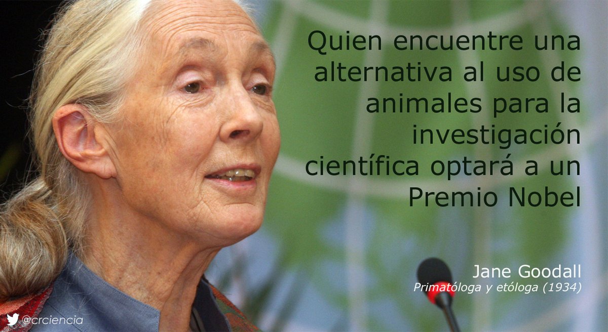 CRCiencia's tweet photo. Feliz cumpleaños Jane Goodall 🎂 https://t.co/ffjyVehAd2