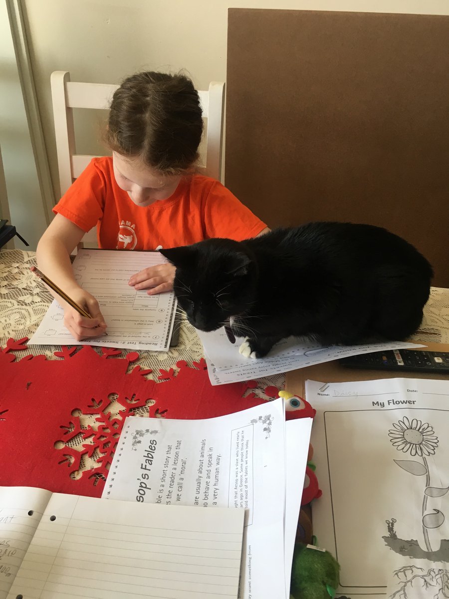 Peppa decided to help daisy with her home schooling!! She doesn’t need to read what is under the cat! 😂