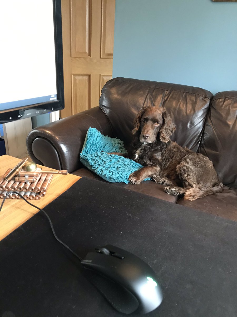 jaglington's tweet photo. Working from home definitely has its benefits 🐶
#WFH https://t.co/h9XA2zHerZ