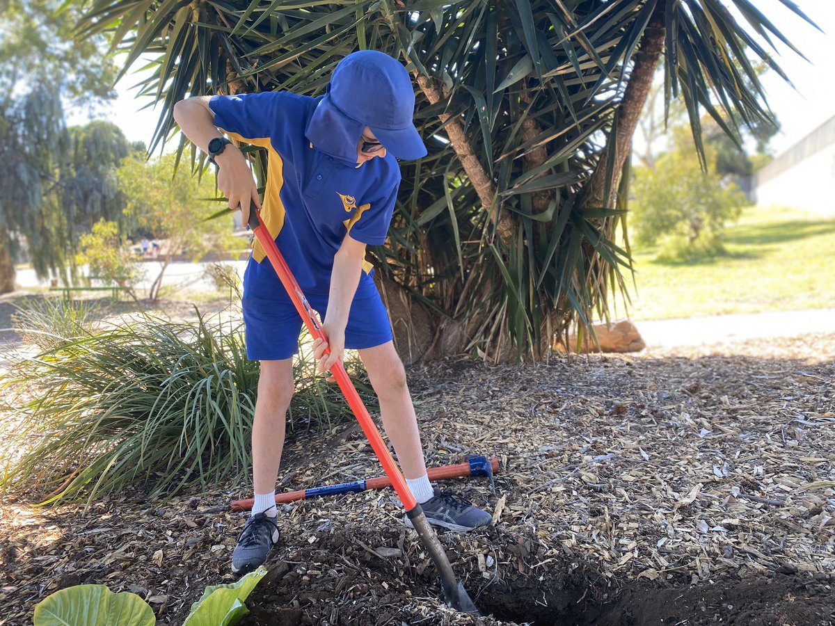 ProjReimaginate's tweet image. Last day of term with Ss today. Not sure when we will be face-to-face again. We spent plenty of time outside this week, working on the idea of marginal gains, that each small action contributes to the long term enrichment of our school. 

#ProjectReimaginate