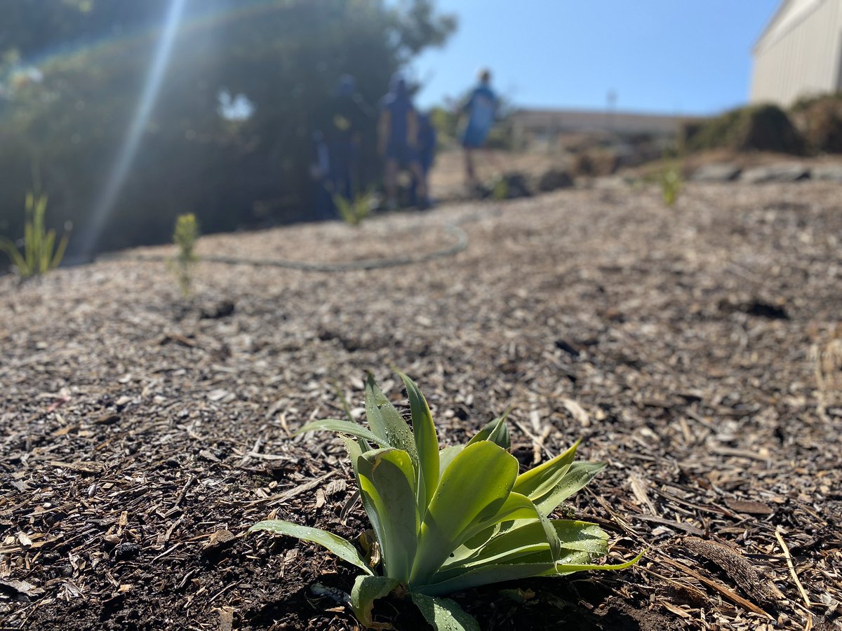 ProjReimaginate's tweet image. Last day of term with Ss today. Not sure when we will be face-to-face again. We spent plenty of time outside this week, working on the idea of marginal gains, that each small action contributes to the long term enrichment of our school. 

#ProjectReimaginate