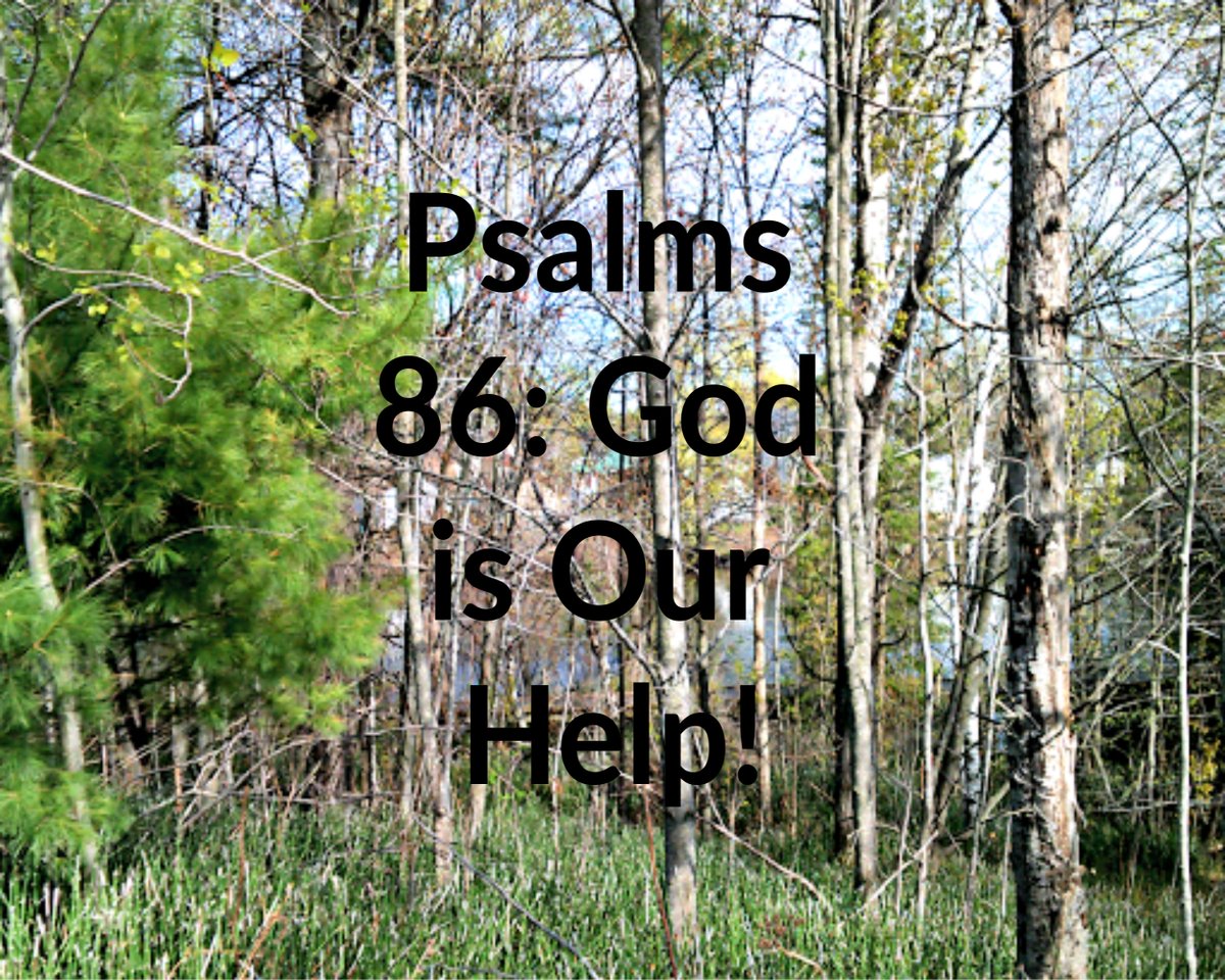 northwoodsgirlblogging.com/psalms-86-god-…
PSALMS 86: GOD IS OUR HELP
#EssentialWorkers #Psalms86 #GodisOurHelp