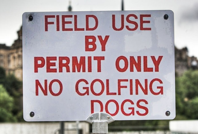 crowdermusic's tweet photo. Bummer, I sure love golfing dogs.
#signofthetimes https://t.co/9mdmGxbIyB
