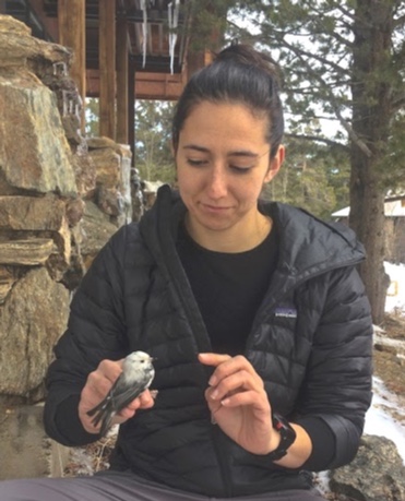 GCAScholarships's tweet image. #GCAScholar Kathryn Grabenstein, ‘19 #NativeBird Habitat Scholarship, PhD cand @CUBoulder, researching interbreeding among Colorado #chickadees to assess how urban #greenspaces alter species interactions. 
ow.ly/ZFHR50yYrwh