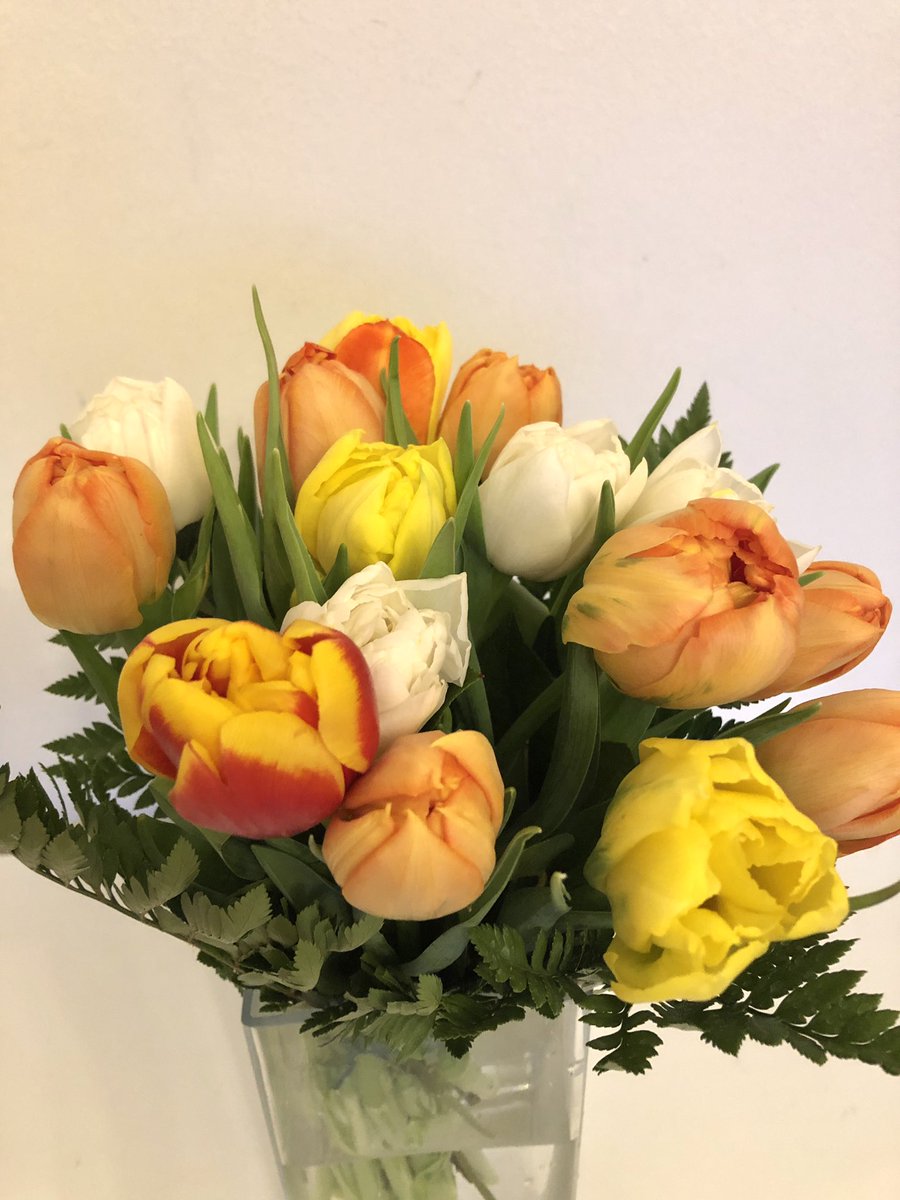 LauraVarja's tweet image. Kukkalähetti soitti, että olisi tuomassa puskaa. ”Ootko varma, että soitit oikeaan numeroon”, oli spontaani vastaukseni. Kyllä oli,ja pian oli pöydällä upea kimppu. Kiitos, huippu tiiminvetäjä @SatuHaataja #koronakevät #työhyvinvointi #lomautus #COVID19 #ihanapomo #InThisTogether