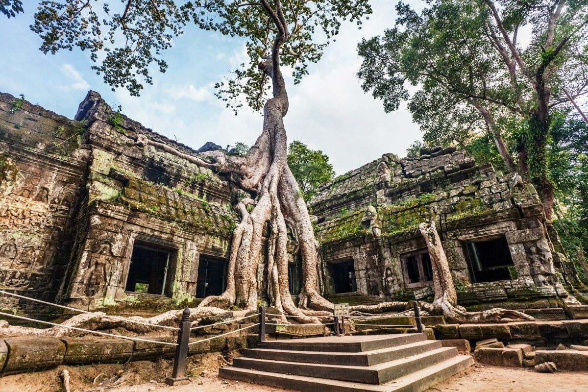 buff.ly/2IMf1jY
Ta Prohm Temple - #Beauty out of the ruine <a href="/Medium/">Medium</a>| #RetweeetPlease &amp; #folowmeback #traveltips and #travelblog