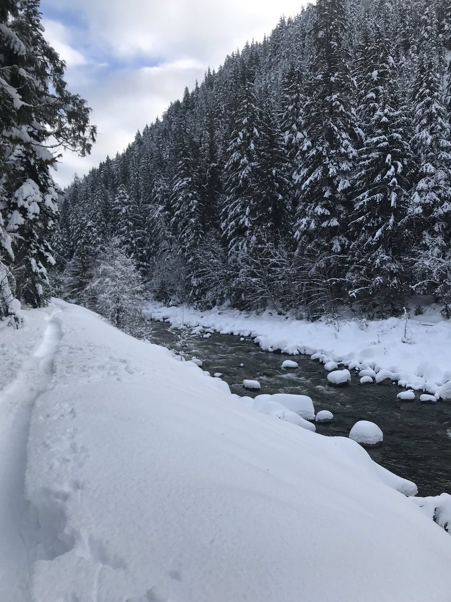 jcdawson's tweet photo. hereโs my #CalmingWaters contribution!! behold Kleanza Creek from my Christmas spent in Terrace, BC - thanks @Can_Limnology ๐๐ค https://t.co/aL7Ys3G1ua