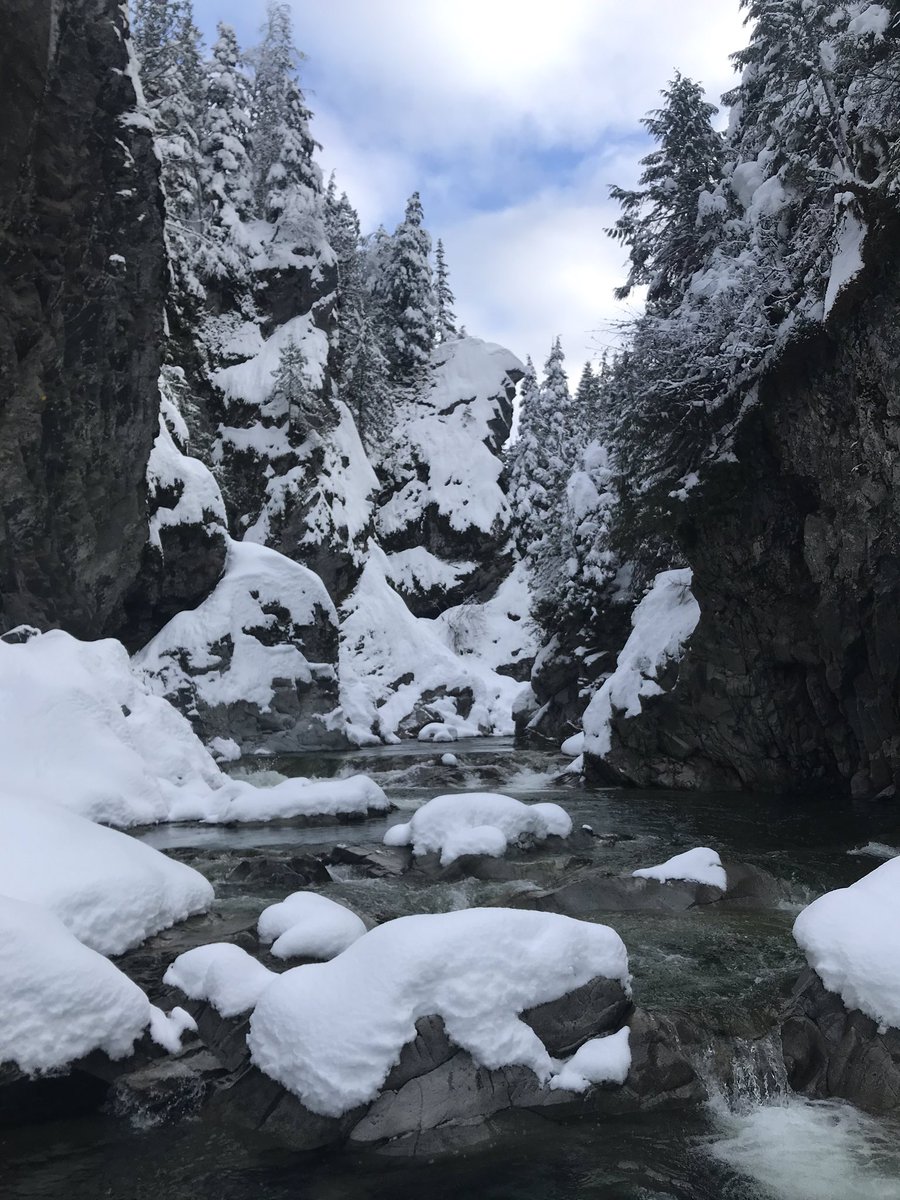 jcdawson's tweet photo. hereโs my #CalmingWaters contribution!! behold Kleanza Creek from my Christmas spent in Terrace, BC - thanks @Can_Limnology ๐๐ค https://t.co/aL7Ys3G1ua