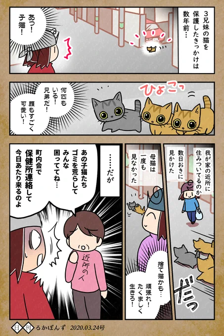 【毎日更新中】
数年前に保護した猫3兄妹の性格がぜんぜん違う話、まとめ2(保護編1/2)

#保護猫3兄妹 #猫 #猫漫画 #コミックエッセイ #猫マンガ 