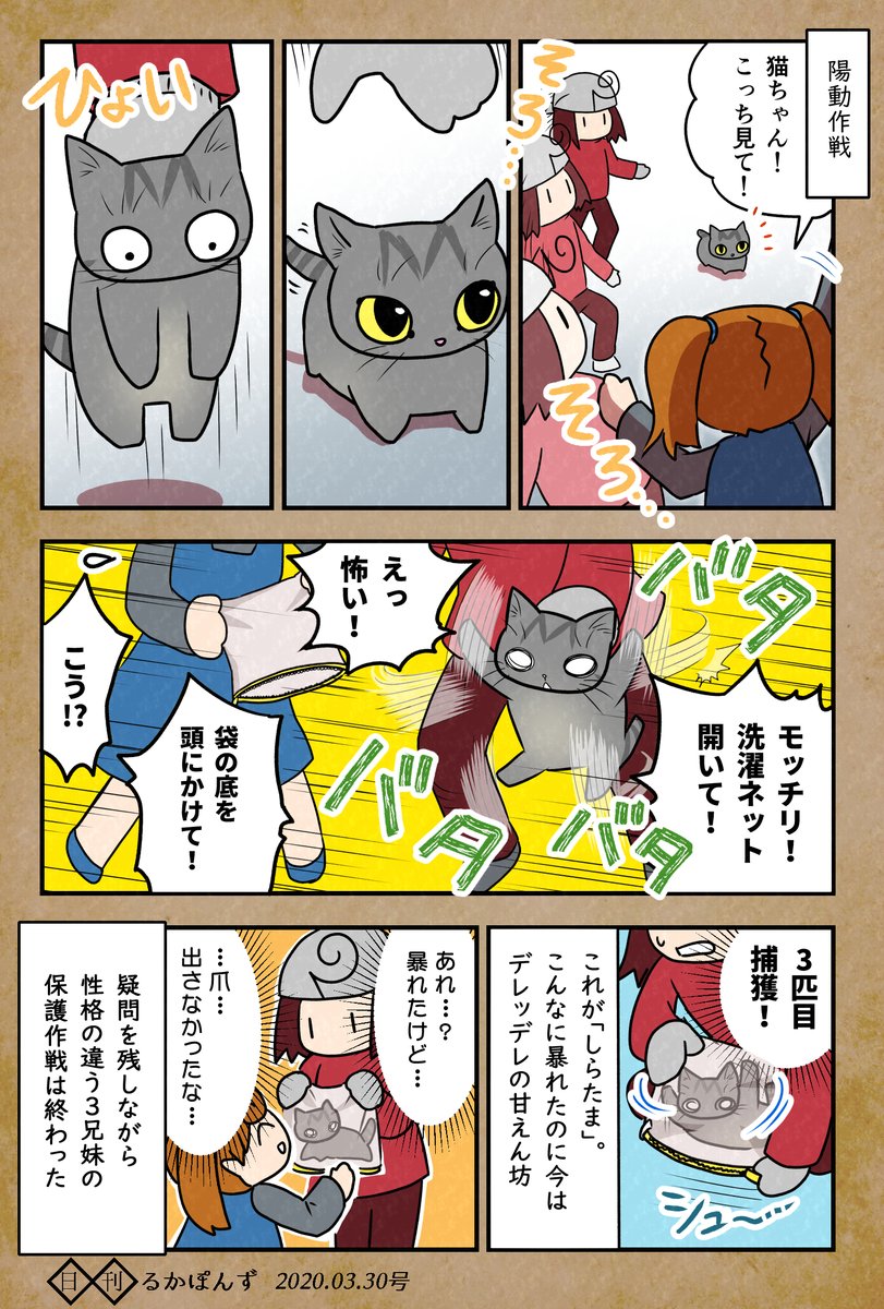【毎日更新中】
数年前に保護した猫3兄妹の性格がぜんぜん違う話、まとめ3(保護編2/2)

#保護猫3兄妹 #猫 #猫漫画 #コミックエッセイ #猫マンガ 