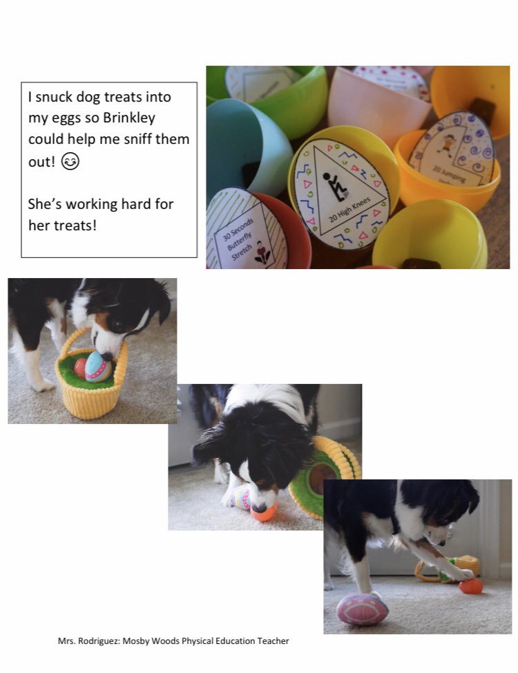 MWES_PE's tweet photo. Fun Fitness Friday #3: Memory Fitness Egg Hunt! Built in colors, shapes, and literacy for extra fun! 

Have a safe, healthy, and enjoyable Spring Break, Mustangs! I’m excited to “see” you on April 14th for more P.E. fun!🥳 https://t.co/IjjV5uPluB