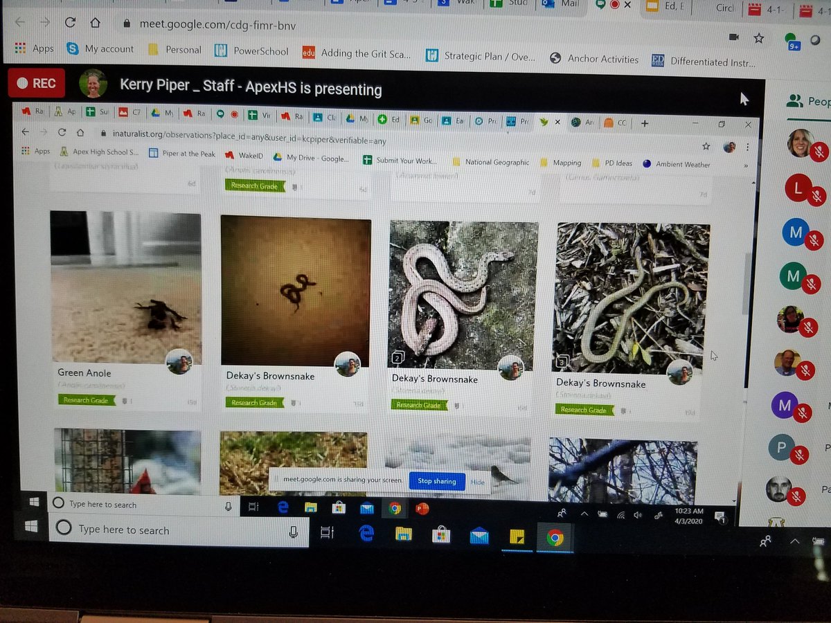 ElaineHofmann6's tweet photo. PEAK PALS presents is underway! Love how our Cougar staff is sharing their best online practices remotely.  #PEAKProud #wcpssremotelearning @ApexHighSchool @WCPSS https://t.co/qFU1Twsrl3