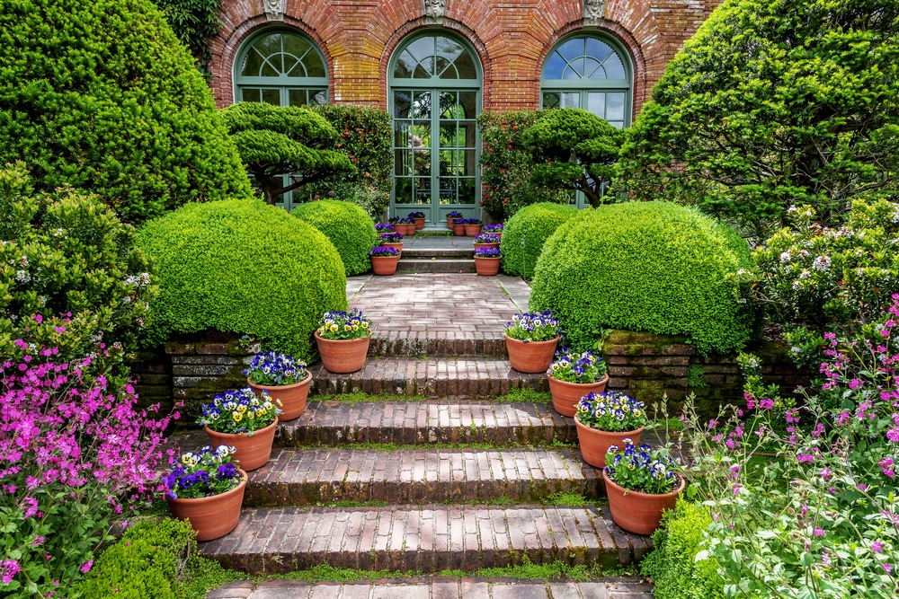 TEGmagazine's tweet photo. 9 quick ways to improve your garden...         https://t.co/f6AaaS2U6p…

#gardening #gardeningtips https://t.co/hgZNI8BIwb