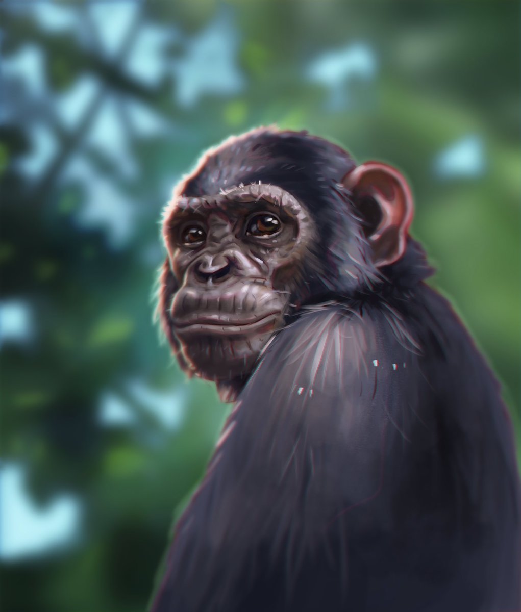 📱🕹DOWNLOAD OUR NEW WILDLIFE GAME!🕹📱

Transform your home into a jungle &amp; help save orangutans, chimpanzees &amp; gorillas. 🐵 🦍

Join a team of wildlife scientists &amp; protect the last wild spaces on earth. 🌏❤️

👇 Be the first to play... WILDERVERSE 👇

chesterzoo.org/play/wildevers…