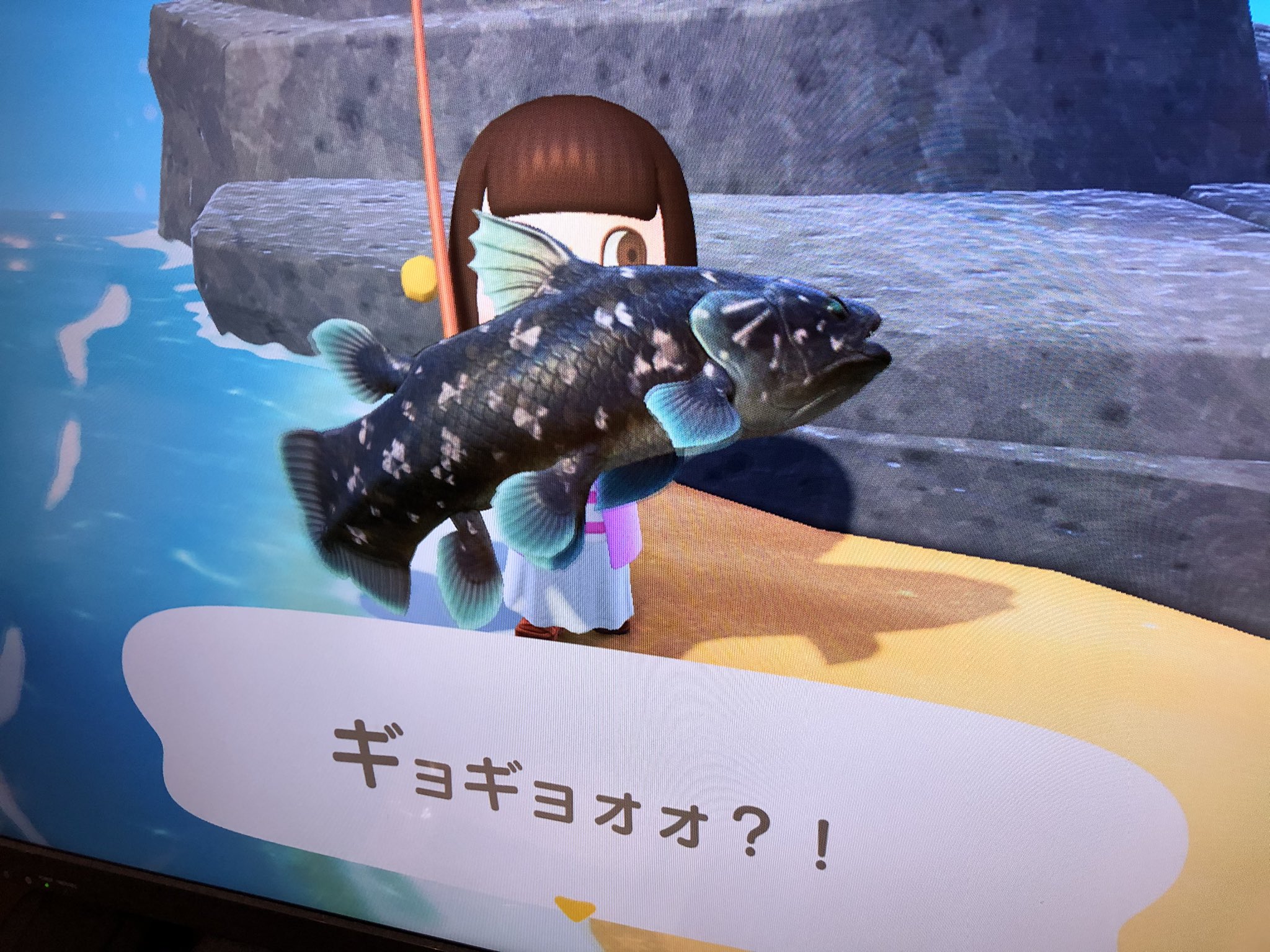 八伏 紗世 10 2初生誕イベ 今日もしっかり お家時間 シーラカンスと なが い魚釣れたよ 笑 リュウグウノツカイって 言うらしい 魚のお勉強も出来ちゃう あつ森 笑 あつ森 どうぶつの森 T Co Vsysylsgys Twitter