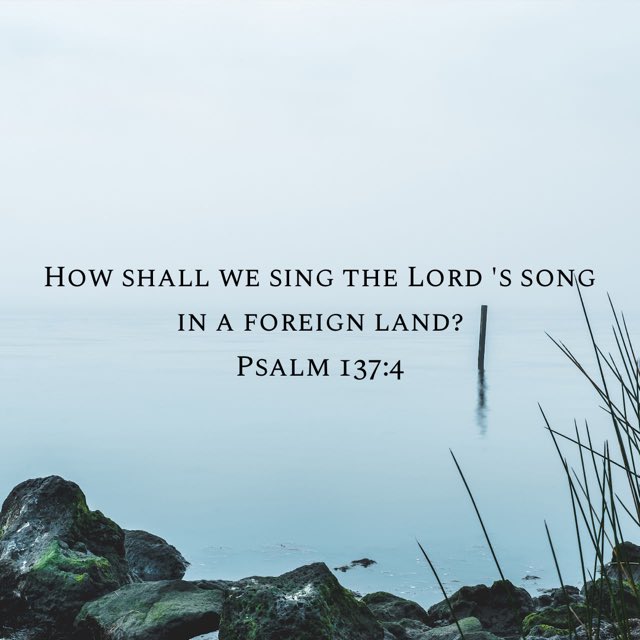 RevCalebAdams's tweet image. At times the song may be sad, but the Lord’s song goes on no matter our circumstances. #SongsoftheMessiah  bible.com/59/psa.137.4.e…