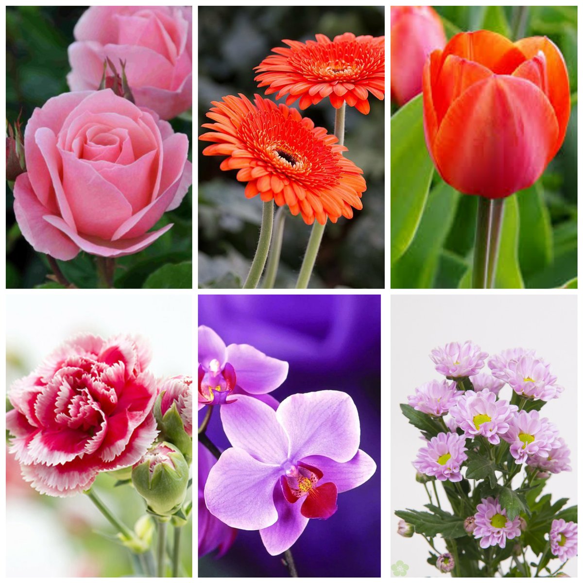 Efficient at work tweet media