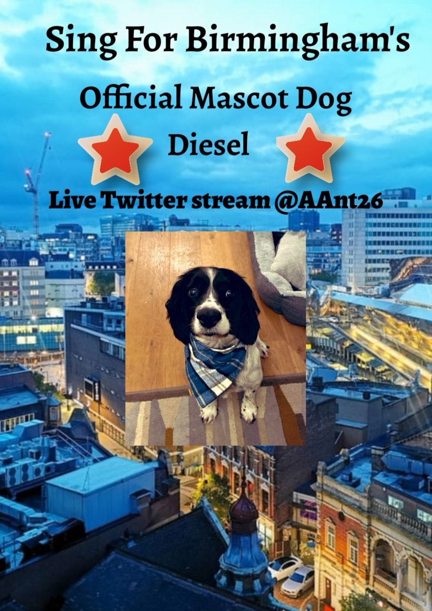 Mrs_Ward1's tweet photo. Potentially the most exciting thing to happen since lockdown!! Diesel has a new career!!! #singforbirmingham #officialmascot #Dieseldog is dusting off his sparkly bow tie for his performance tonight! 🤩🥳🥰 @paganelschool @AAnt26 see you there! https://t.co/3zECKJbimI