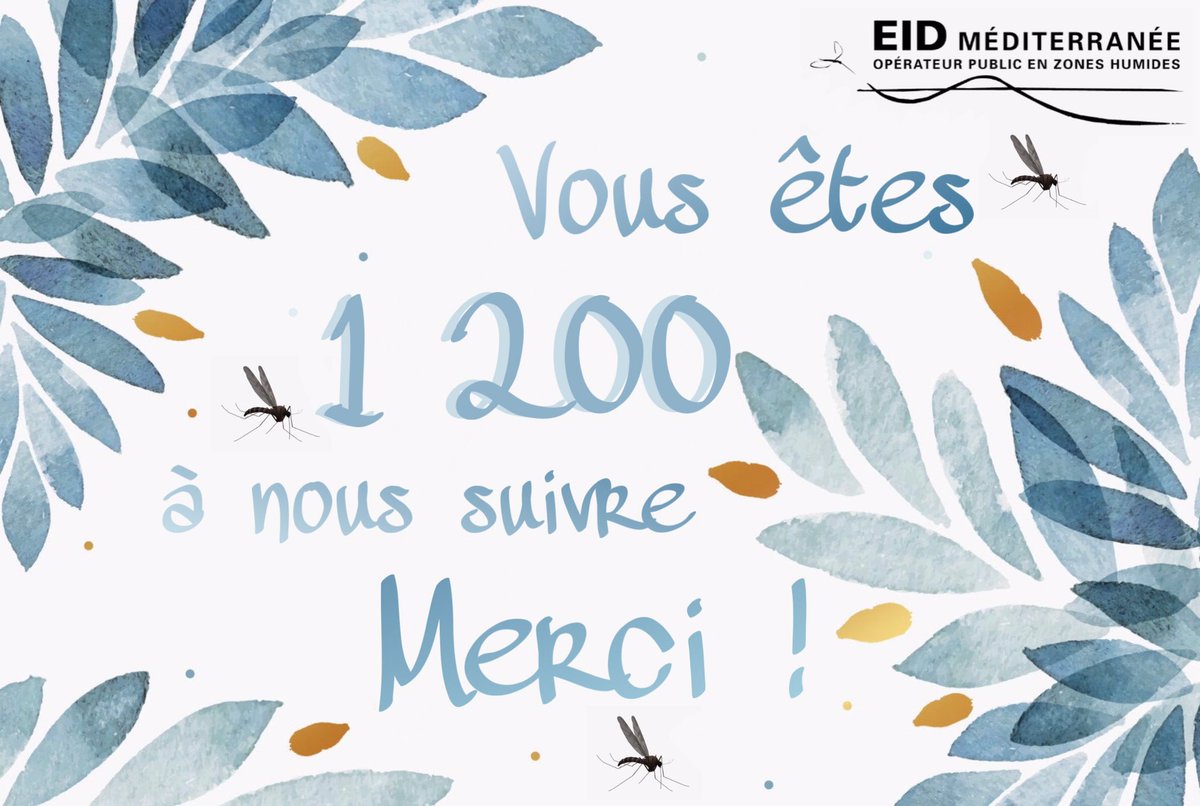 EIDMediterranee's tweet photo. #Merci à vous ! 1 200 #followers #Twitter
#ServicePublic #demoustication 🦟 #reseauxsociaux #RT
👉🏻 https://t.co/5dBdNn9y5k https://t.co/CirmTEpOzk