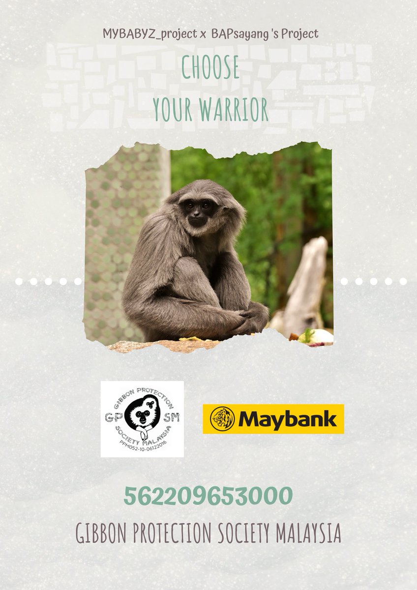 MYbabyz_project's tweet photo. > Gibbon Protection Society Malaysia <

Information Link;
https://t.co/riket7locu

Donate for them and submit your entry in the form ⬇️⬇️⬇️
https://t.co/OYy98NhtAz

#KitaJagaKita #SaveNatureSaveFuture #BAP #MYBABYZ_project #BAPsayang #BABYz https://t.co/Z72rcTl0uv