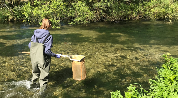 When microbes in rivers are exposed to pollution, they might need to develop resistance to survive. We can measure the extent to which this occurs using lab, field and in-situ studies. (7/12)