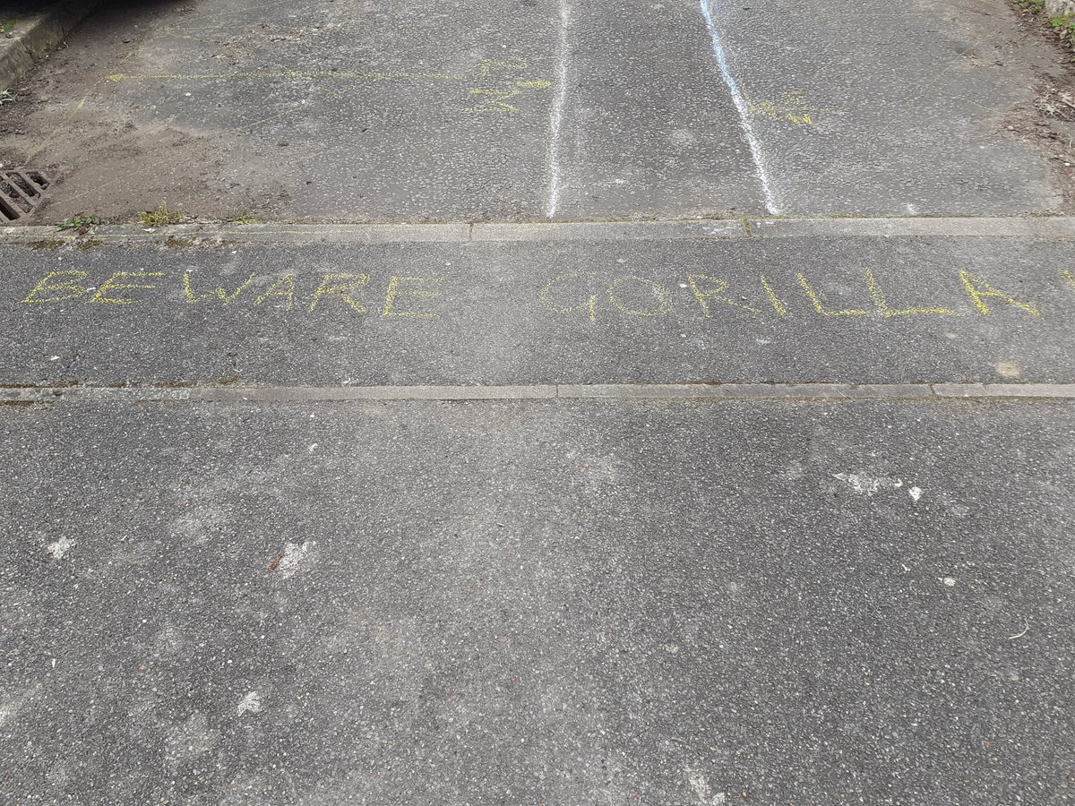 Good Morning <a href="/RealDeniseLewis/">Dame Denise Lewis</a> 

I will be covering 42 miles for Gorilla conservation this Sunday.

With #CovidRestrictions that's 450.5 lengths of my street.

Here's to getting over the physical and mental hurdles on the day : )

justgiving.com/lykewakegorilla
