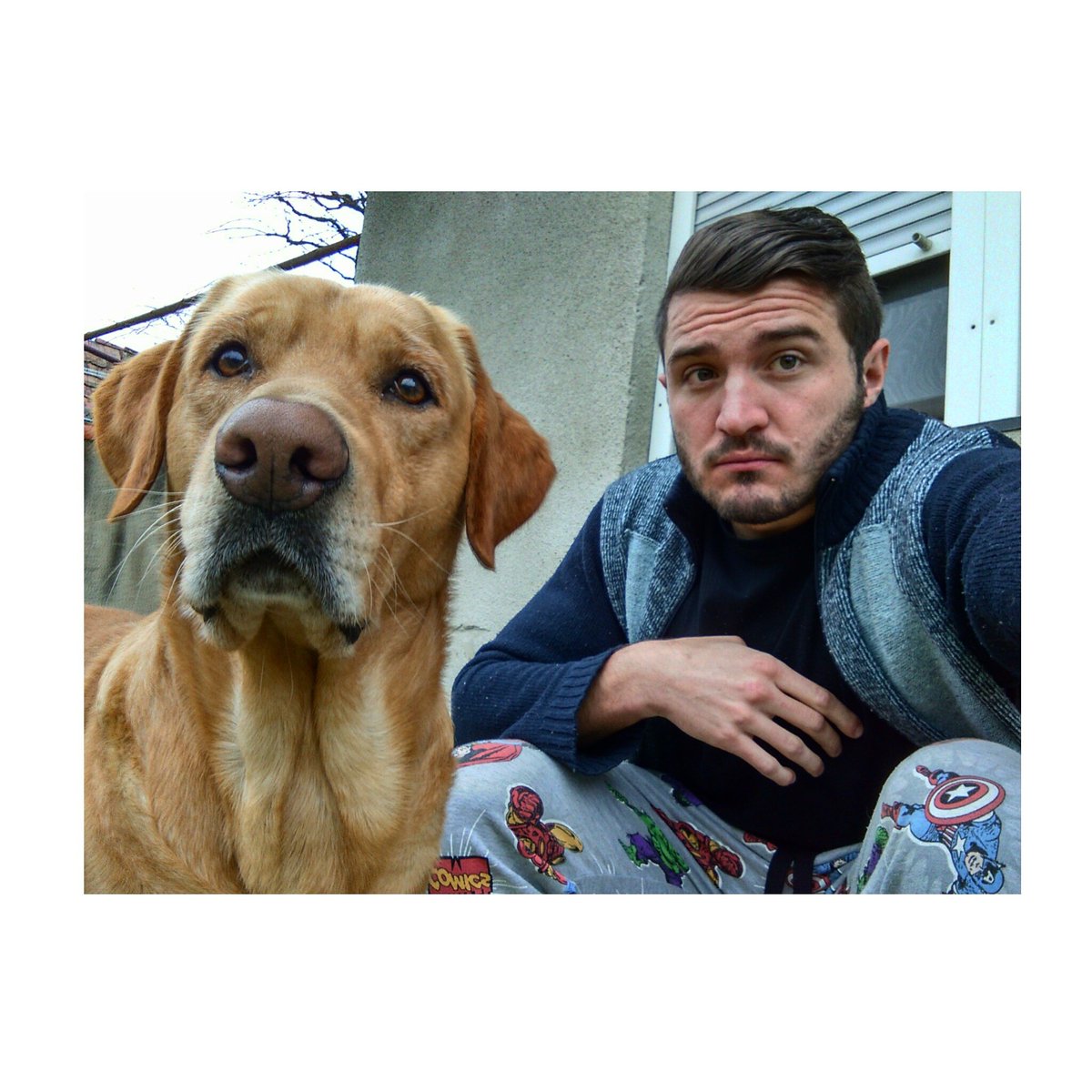 leftback93's tweet image. Da sam bar malo fotogeničan na svog psa! 🙄