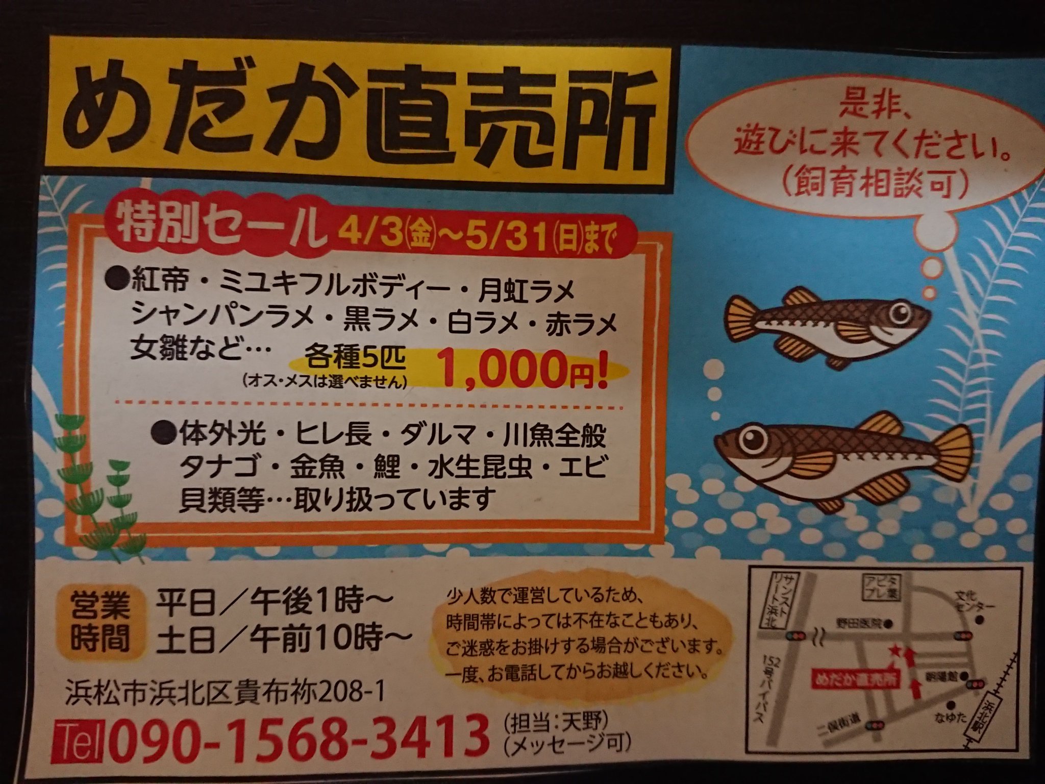 メダカ直売所 めだか直売所では 5 31まで 特別セール 開催 こちらもご覧ください T Co Uogbxjr7de ご来店 お問い合わせをお待ちしております メダカ直売所 めだか直売所では 5 31まで 特別セール 開催 こちらもご覧ください T Co Uogbxjr7de ご来店 お問い合わせをお待ちしております