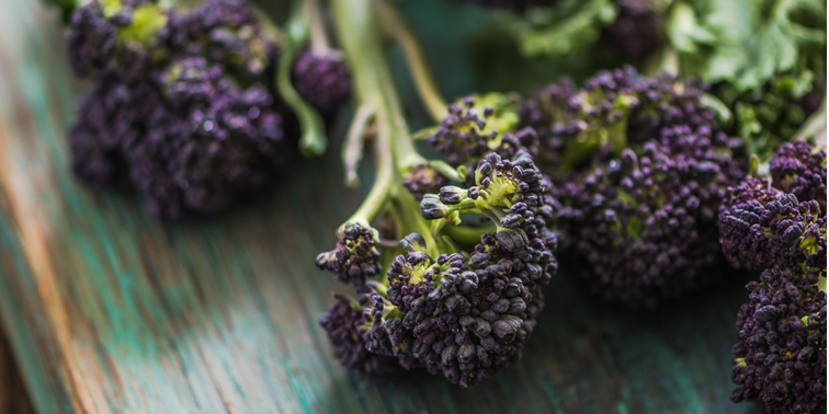 buffetsbydesign's tweet image. With the change of the seasons we love exploring the seasonal food for the time of year. Check out our favourites for spring. ow.ly/PzOZ50yHPfz #catering #caterer #Foodie