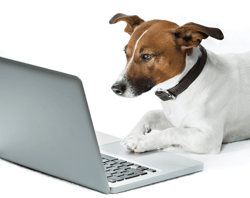 Cliverton Insurance tweet media