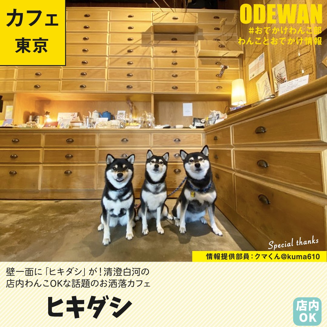 おでかけわんこ部 愛犬とのおでかけ情報 ヒキダシ に行ってきたよ クマくんとお友達から写真レポが届きました 東京わんこokカフェの詳細 T Co Rjuvujwphs ヒキダシ 黒柴 おでかけわんこ部 わんことお出かけ わんこok わんこokカフェ 犬