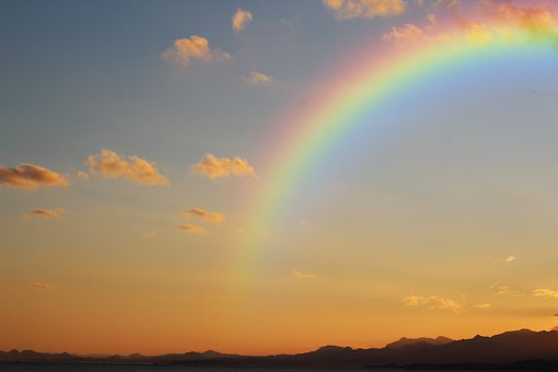 clivestone22's tweet photo. Each year on April 3rd, national #FindARainbowDay challenges us to look to the sky & find a colourful ray of hope cast across it. At a time when hope is paramount, why not try to create your own #Rainbows at home, through food, through art, through clothing. #CreateYourOwnRainbow https://t.co/feWu4nyjtg