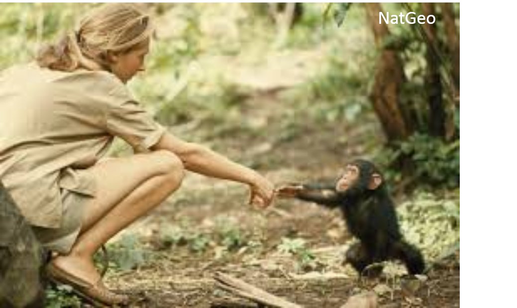 Happy Birthday Dame Jane Goodall! 