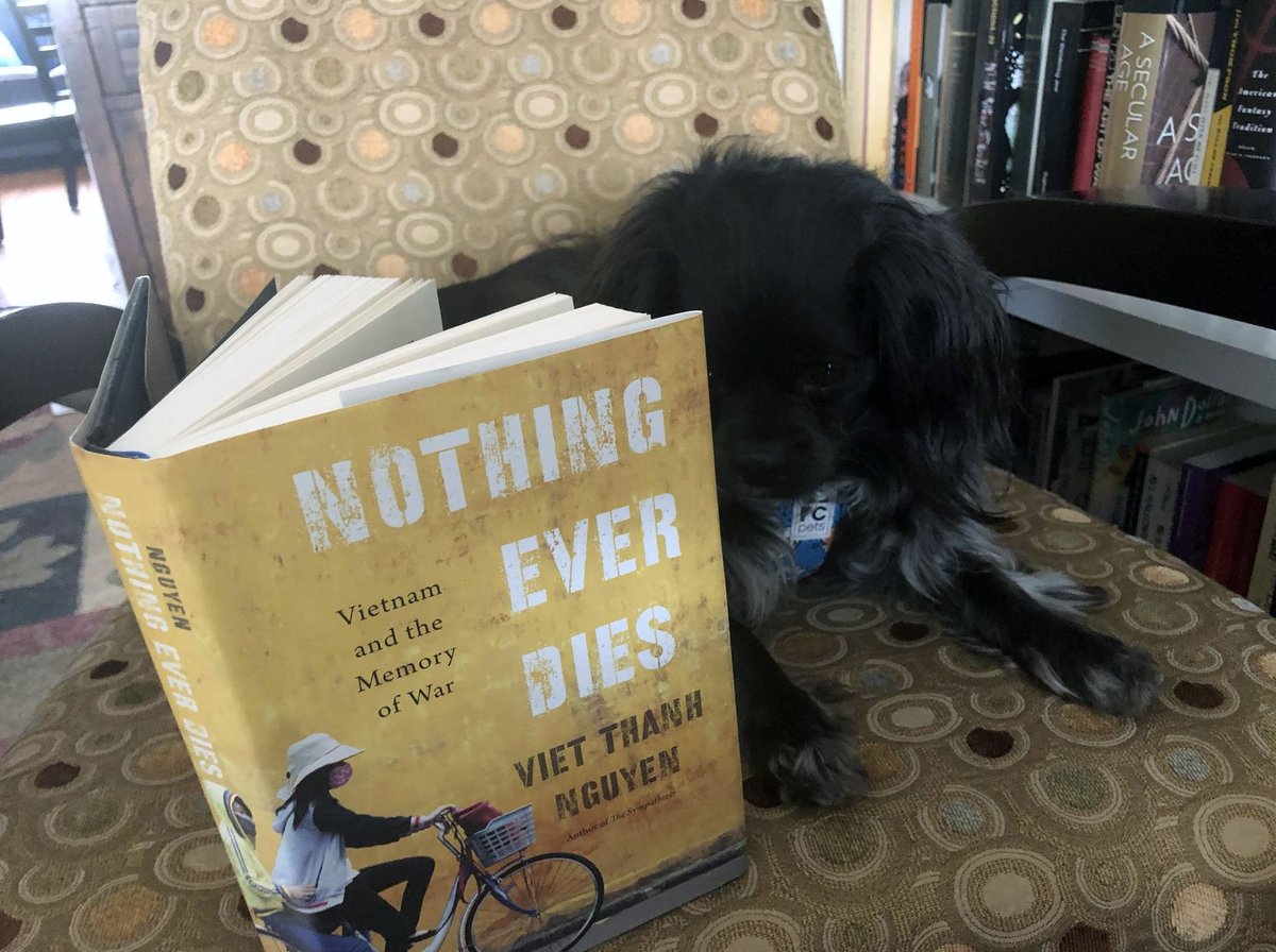 Bear's splitting his time between the IT and sales departments, and has been researching our backlist best sellers. Here's him reading  @viet_t_nguyen's Nothing Ever Dies.