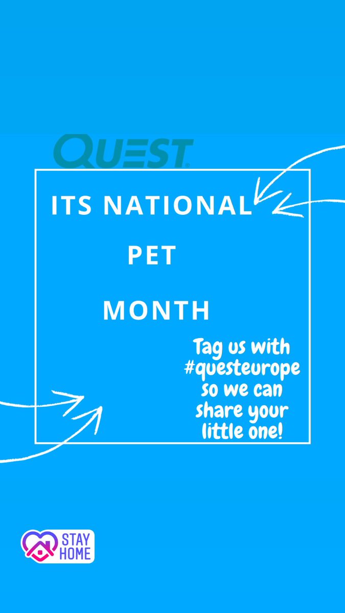 QuestEurope's tweet photo. Tag us and #questeurope so we can share to the National your beautiful pets 🐶🐱🐻🐭🐼🐹🐨🐵🐒🐰💙

#questnutrition #NationalPetMonth #StayHomeSaveLives #FridayFeeling #AnimalCrossing #StayHome #proteinbars #healthysnacks https://t.co/Y1g3W8KECf