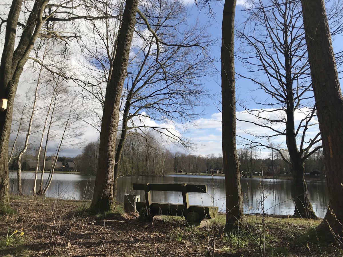 juan2FD's tweet image. A &quot;runnear&quot; un poco...hasta el Lago y volver, y si me cruzo con alguien manteniendo los dos metros de distancia 🏃‍♂️ 

#derwegistdasZiel