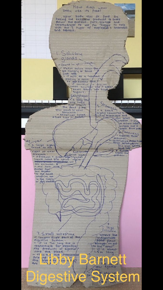 outwoodripon's tweet image. The science team have been so impressed with the creativity of our students! 💡 Some serious home learning going on 🎉 Here are some of their favourite pieces of work! #ScienceFromHome #sciencestars ⭐️ (1/2)