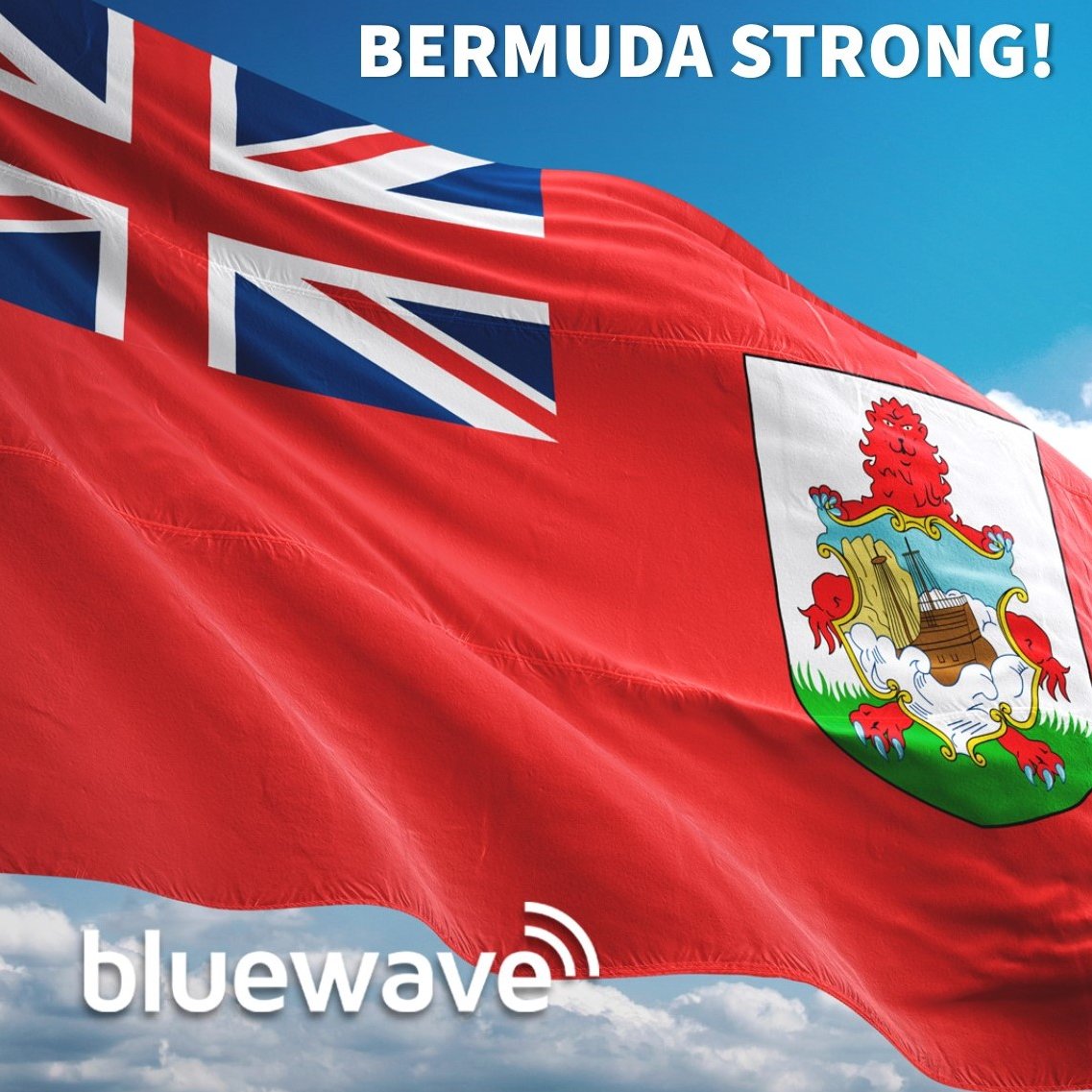 Bluewave tweet media
