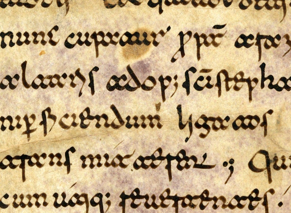 Good morning, everyone. In today’s  #BreakfastPaleography, we’re going back to basics: Paleography as literacy. Let’s learn how to read a script that can be particularly difficult because it is so different from today’s Roman alphabet letterforms. Let’s learn to read Beneventan!